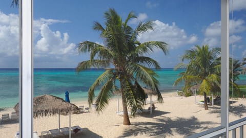 On the beach, sun loungers, beach towels