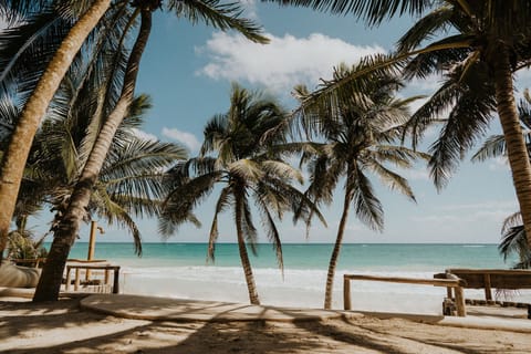 On the beach, sun loungers, beach towels