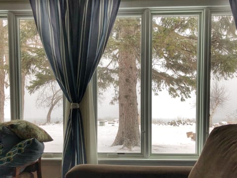 Enjoy winter snows while warm and cozy inside!