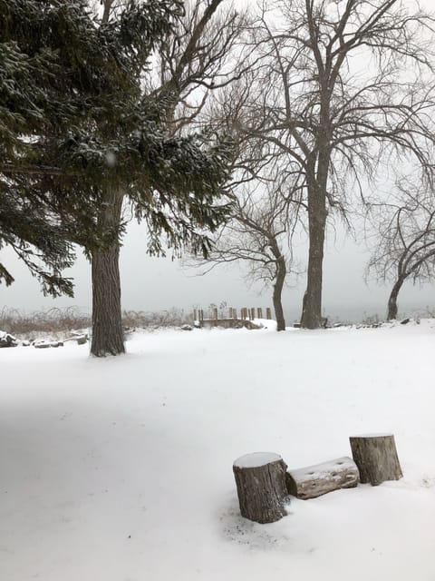 View of front yard & front dock from the deck during snowfall