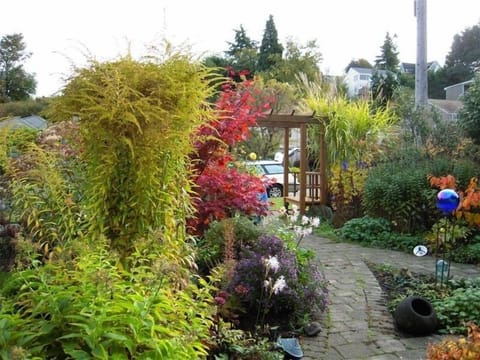 Front entrance garden