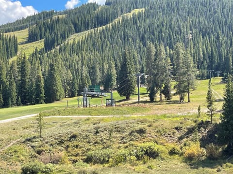 view from living room