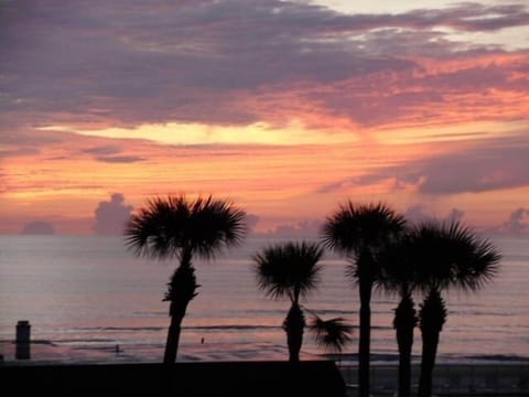 On the beach, sun loungers, beach towels