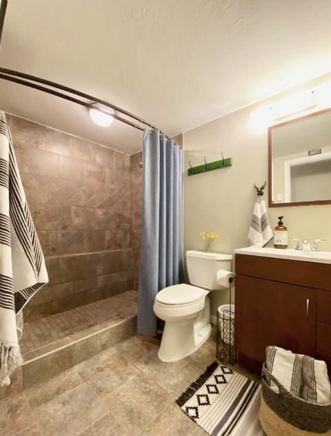 Combined shower/tub, hair dryer, towels