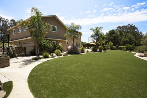 Backyard: 1500 sq. feet of artificial lawn and 1000 of cement patio