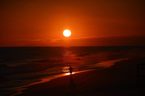 On the beach