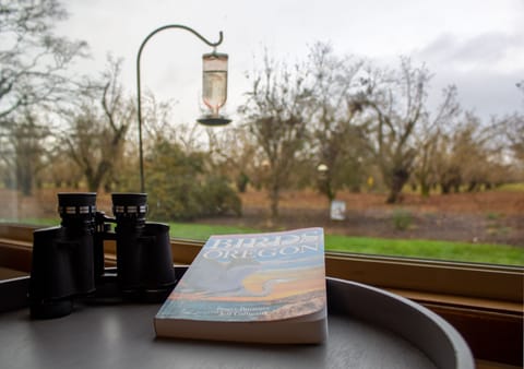 Enjoy bird watching? Grab your morning coffee and watch from the living room.