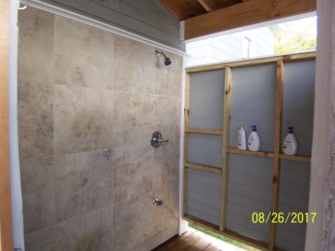 Combined shower/tub, hair dryer