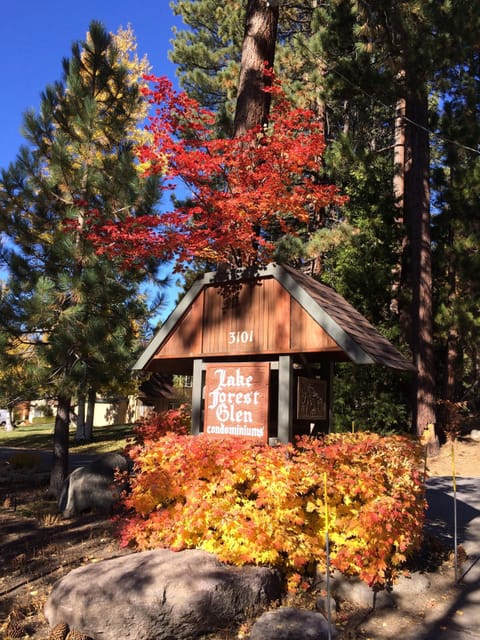 Lake Forest Glen main entrance in fall.