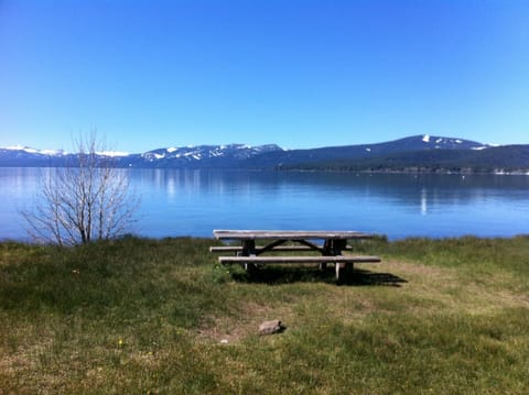 A picnic table at Lake Forest Beach, on the meadow side (this side allows dogs)