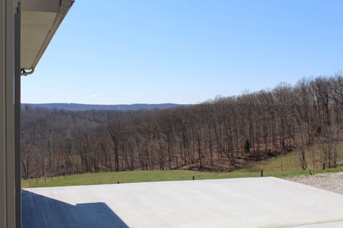 View out back of the house.