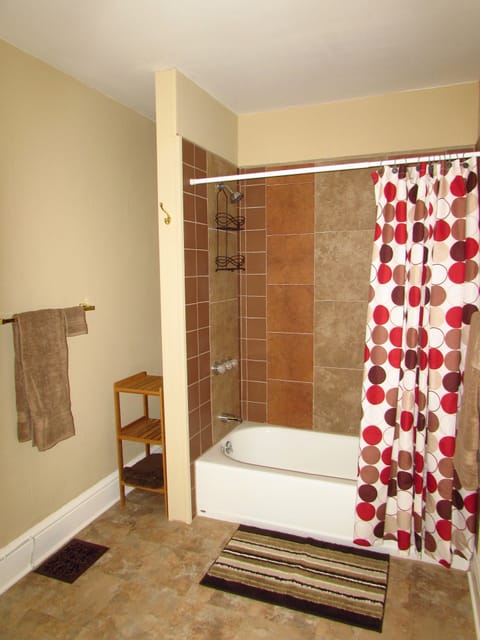 Combined shower/tub, hair dryer, towels, soap