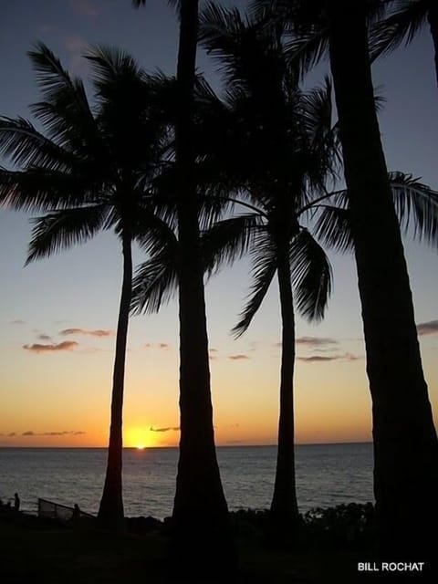 Beach nearby, sun loungers, beach towels