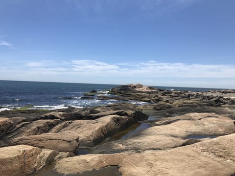 Beach nearby, sun loungers