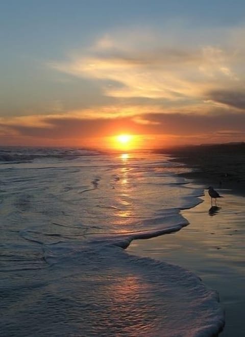 Beach nearby, beach towels