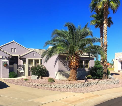 Casita sits behind palm trees,parking in front W/ street lighting in cul-de-sac
