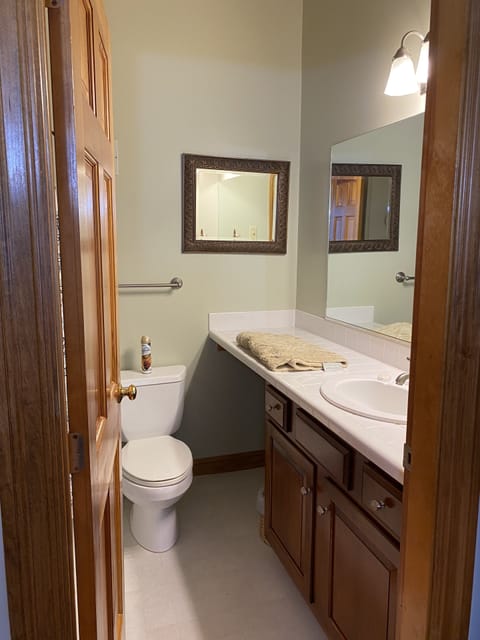 Combined shower/tub, jetted tub, hair dryer, towels