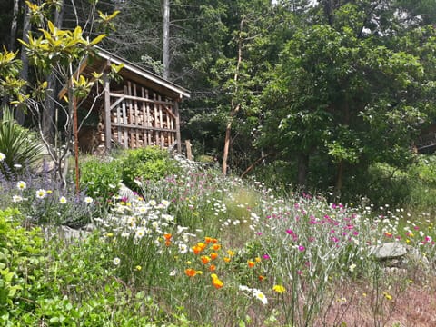 Wildflowers are abundant and blend seamlessly into the landscaping.