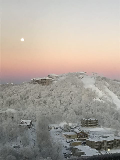 Winter view & view of ski slopes from our balcony.