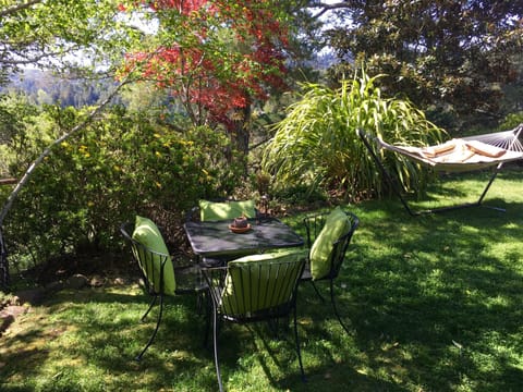 Under the birch trees just a few feet from your door.
Medicinal hammock