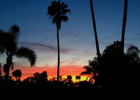 View from the driveway