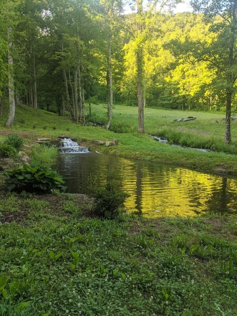 Trout Pond across the road from rental
