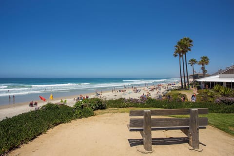 Sun loungers, beach towels