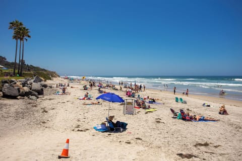 Sun loungers, beach towels