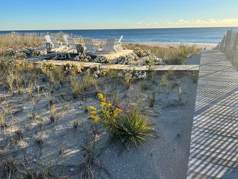 Beach | On the beach