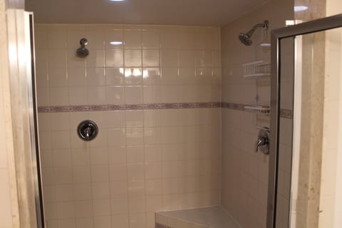 Master Bath Shower 6 Foot by 8 Foot with Two Shower Heads and Two Seats