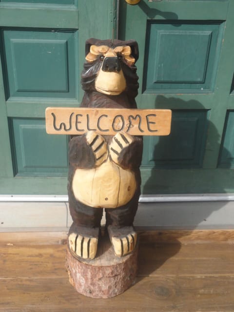 Welcome
Pleas take time to look at our traveler's reviews.