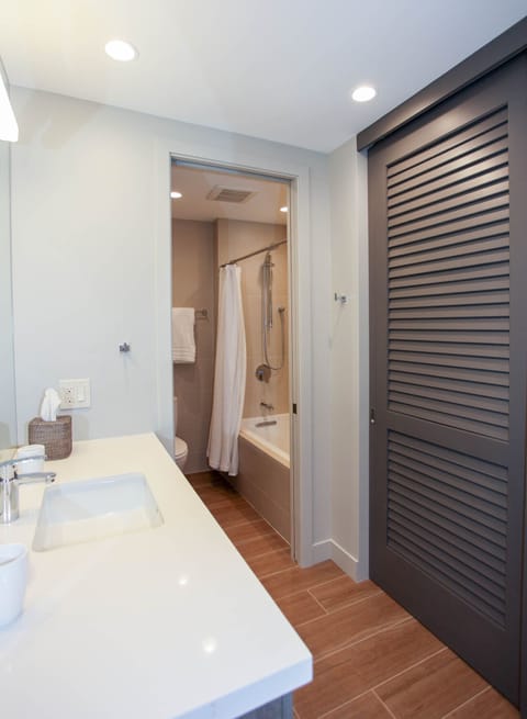 Combined shower/tub, hair dryer, towels