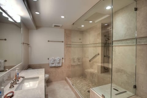 Remodeled Master Bathroom / Shower