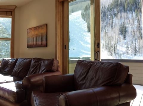 Views of Lift 7 and ski runs from the living room windows