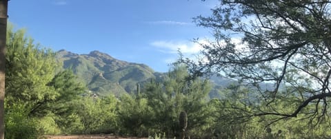 Our view of the Catalina Mountains from our patio