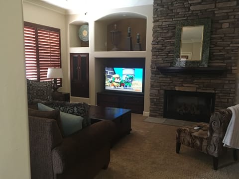 TV, fireplace, video-game console, DVD player