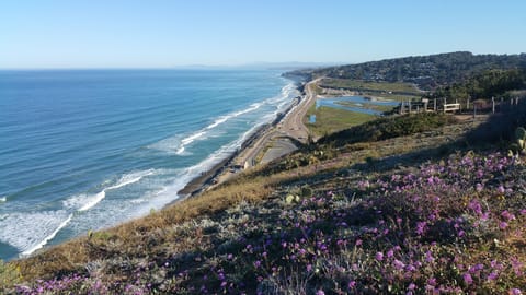 Beach nearby, beach towels