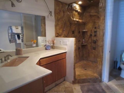 Combined shower/tub, jetted tub, hair dryer, towels