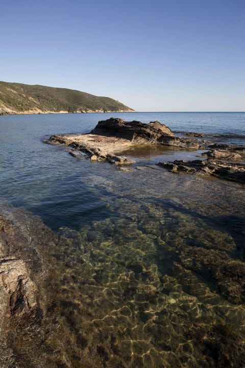 Wonderful clear water