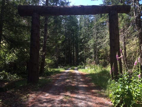 Welcome to InTheBluff!