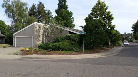 Quiet side street in north Davis