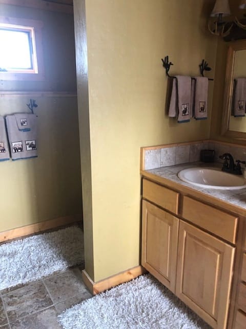 Combined shower/tub, hair dryer, towels