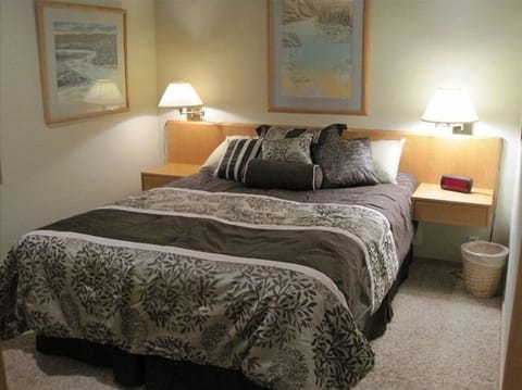 Bedroom with closet, TV and drawers