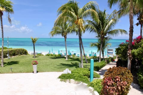 On the beach, sun loungers, beach towels