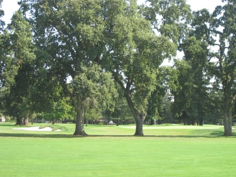 View of fairways and putting green from back patio

