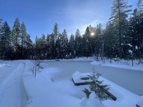 Snow and ski sports