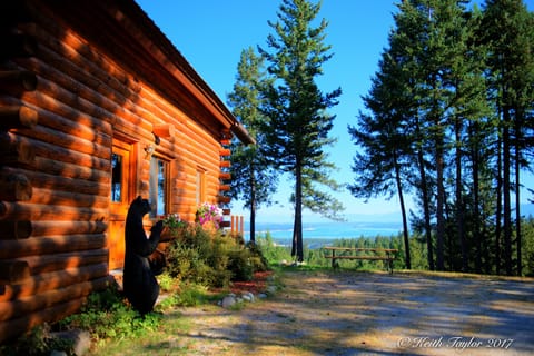 Your arrival at The Montana Cabin and the amazing view