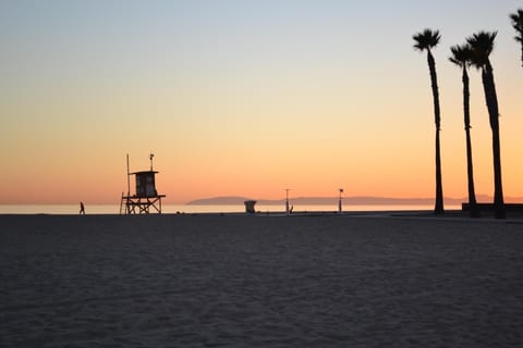 On the beach