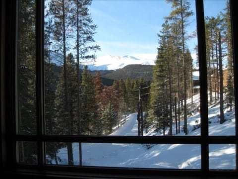 View out front window