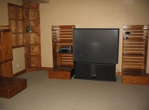 Basement rec room / trundle bed/proj TV